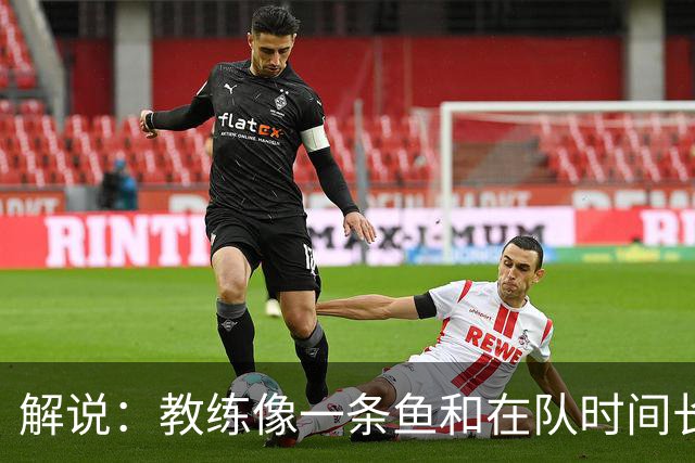 解说：教练像一条鱼&在队时间长了就会发臭 杜锋话语出现效应递减